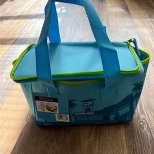 Trader Joe's Aqua Insulated Food Storage Bag